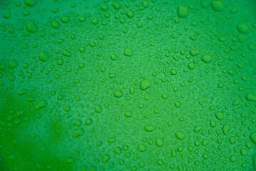 Water droplets on a green surface after a rainstorm