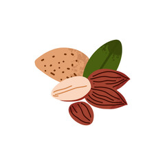 Cartoon almond. Nuts in shell and peeled pieces. Healthy food. Diet snack. Organic vegetarian element. Whole and half. Natural plant ingredient packaging design. Vector isolated illustration