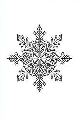 A snowflake is drawn in black and white. The snowflake is very detailed and has a lot of intricate designs