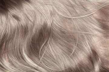 Blond hair close-up as a background. Women's long light brown hair. Beautifully styled wavy shiny...