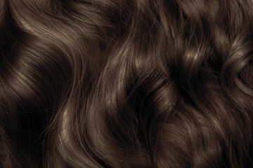 Brown hair close-up as a background. Women's long brown hair. Beautifully styled wavy shiny curls. Hair coloring. Hairdressing procedures, extension.