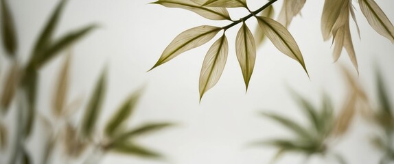 Obraz premium Delicate bamboo leaves in soft focus create a peaceful, serene atmosphere, ideal for nature, wellness, and mindfulness themes