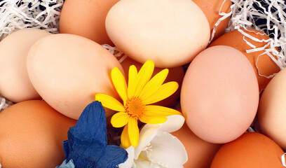 Chicken eggs lying in a basket are decorated with spring flowers