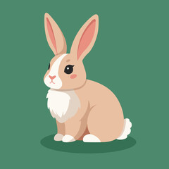 Cute bunny vector illustration
