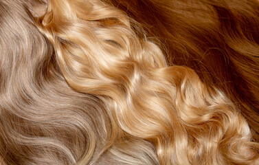 Hair extensions in different shades close-up as a background. Long hair in three light brown colors. Beautifully styled wavy shiny curls. Hair coloring, coloristics. Hairdressing procedures.