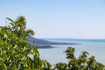 Lush green foliage in foreground, framing expansive lake Balaton in distance. Water shimmers under...