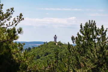 Wooden observation tower Padkui Kilato perched atop forested hill in Balatongyorok, Hungary....