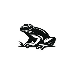 frog vector white background