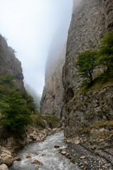 Quba, Azerbaijan A ravine in the mist on the Qudyalchay River.