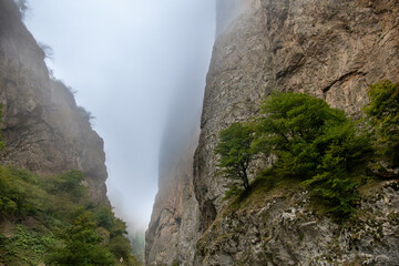 Quba, Azerbaijan A ravine in the mist on the Qudyalchay River.