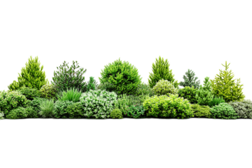 lush garden bushes cut out
