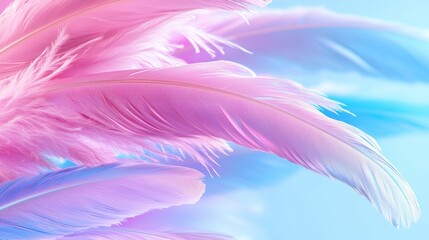 Obraz premium Colorful and delicate feather background with natural, neutral and pastel colors and delicate elements from nature. Wallpaper with natural texture. Purity and beauty. Colorful natural feather