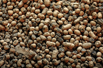 Top view on a seamless abstract background from expanded clay. Construction material. Clayd claydite granules as a drainage for plants. Soft Focus, bokeh.