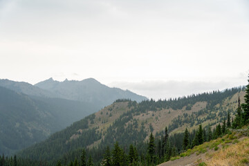 A stunning view of mountains on a rainy day from atop Hurricane Ridge.