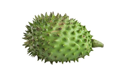 Green and spiky with brown spots on the skin, isolated against
