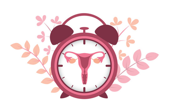 female reproductive system women uterus in the ringing alarm clock vector illustration