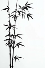 Naklejka premium Watercolor Black Bamboo Tree on White Background