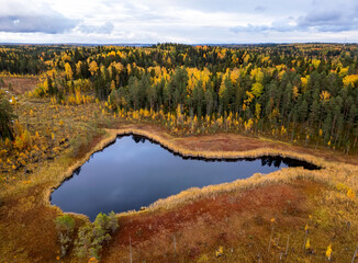 Picturesque view of autumn forest and swamp from a bird's eye view. The beauty of Karelia's nature