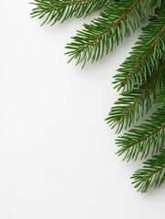 Obraz premium Christmas and New year background