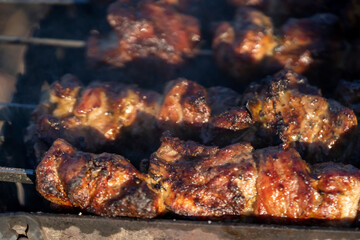 Tasty pieces of meat on fire, grilled on the coals outdoors.