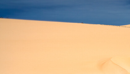 A desert with dunes and yellow sand against the sky.