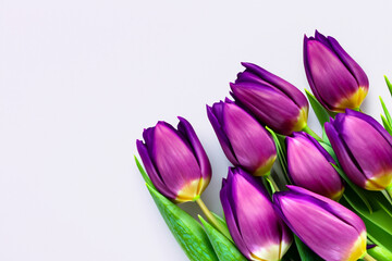 Fototapeta premium A bouquet of flowers in white and purple with tulips on the. floral concept. a bouquet of flowers in white and purple with tulips on the lifestyle. a bouquet of tulips in white and purple on a.