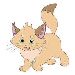 fluffy beige sand cat happy and joyful walks, easy to edit, stock vector