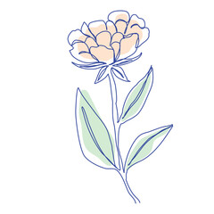 abstract sketch with one continuous line style on a white background. Concept of blooming flowers