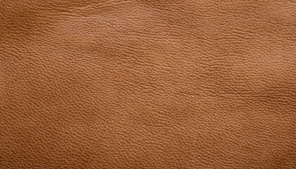 Old light brown smooth natural leather in small grain textured background