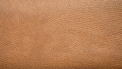 Old light brown smooth natural leather in small grain textured background