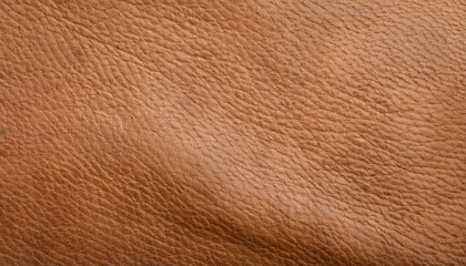 Old light brown smooth natural leather in small grain textured background