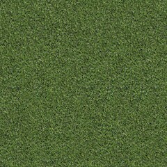 Seamless texture of the grass surface