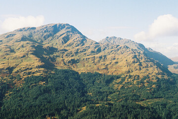 Obraz premium Mountain and Forest Landscape, Tarbet Scotland