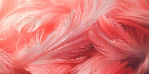 Fototapeta premium background macro feathers barely Light gold pantone