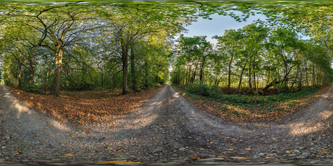 360 hdri panorama on gravel road among old poplar grove with gnarled branches in autumn forest or alley in sunny evening in equirectangular spherical seamless projection. VR AR content