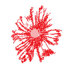 a red and white flower on a black background
a drawing of a red flower on a white background
The design shows a graphic representation of a red flower with numerous petals radiating outwards from a ce