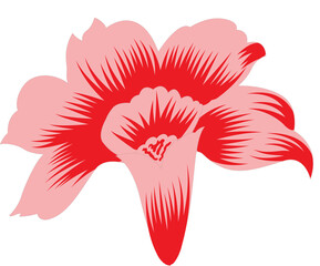 a red flower on a black background
The design shows a stylized graphic of a red flower with five petals. Here are the details:
•	Petals: The flower has five petals with various shades of red, creating