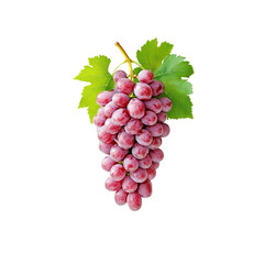 Fototapeta premium Fresh Red Grapes with Green Leaves