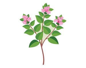 pink flower illustration silhouette vector