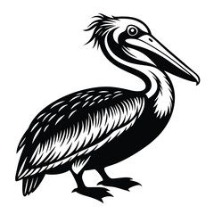 pelican illustration silhouette vector