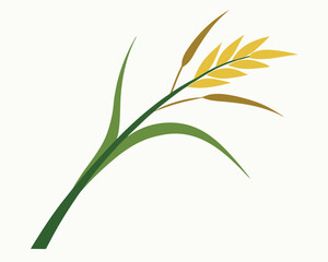 wheat ears isolated on white