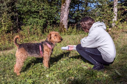 Woman and Airedale Terrier in Rochers de Naye, Swiss Alps