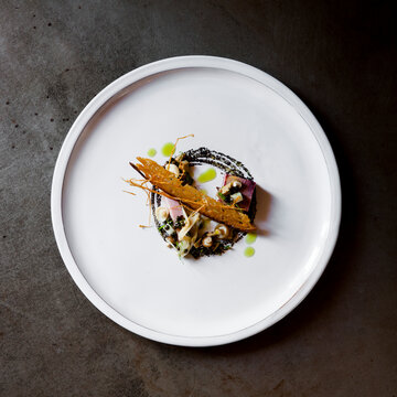 Fancy Restuarant Food Plate Foie gras, guinea fowl with lentil, mushrooms