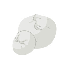 Mozzarella. Group of various pieces of round cheese on a white background. Traditional Italian baby mozzarella cheese. Flat design for cafe, restaurant, poster. Hand-drawn. Circle of the dairy product