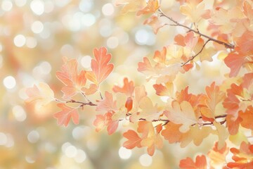 Fototapeta premium An oak tree with colorful bright autumn leaves swinging in a park in autumn. Background of autumn. Beautiful pictures of nature.