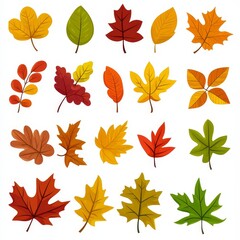 Colorful autumn leaves isolated on white background. Modern illustration.