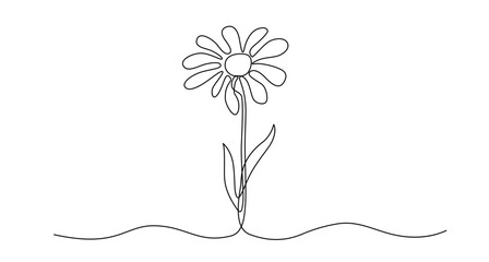 Daisy flower one continuous line vector doodle illustration.