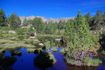 Le Carlit sommet des Pyrénées orientales, montagne des catalans