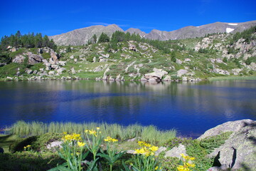 Le Carlit sommet des Pyrénées orientales, montagne des catalans