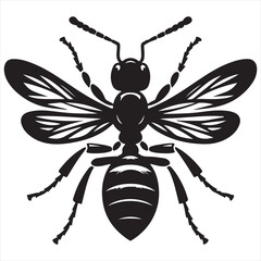 Side view black and white vector illustration